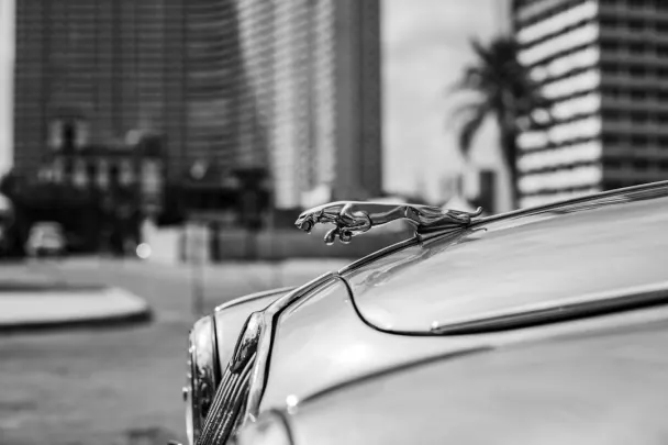 카지노 골든 릴스 안드로이드/iOS 앱